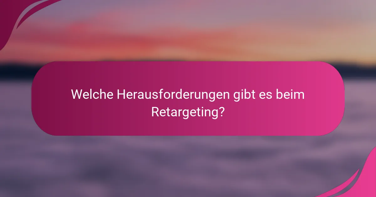 Welche Herausforderungen gibt es beim Retargeting?