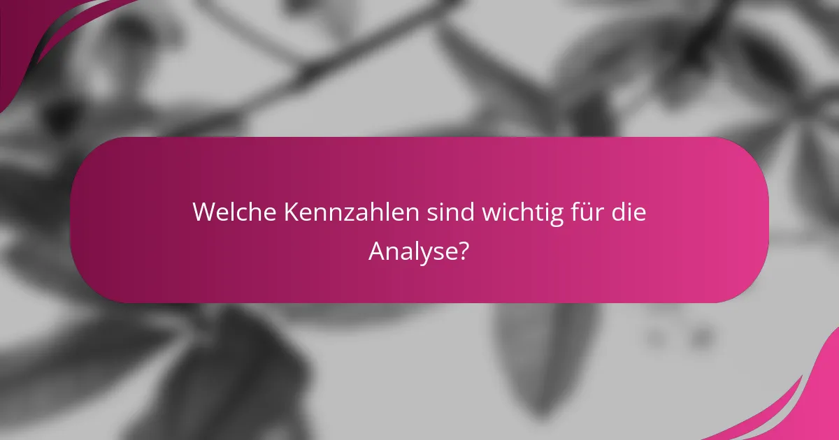 Welche Kennzahlen sind wichtig für die Analyse?