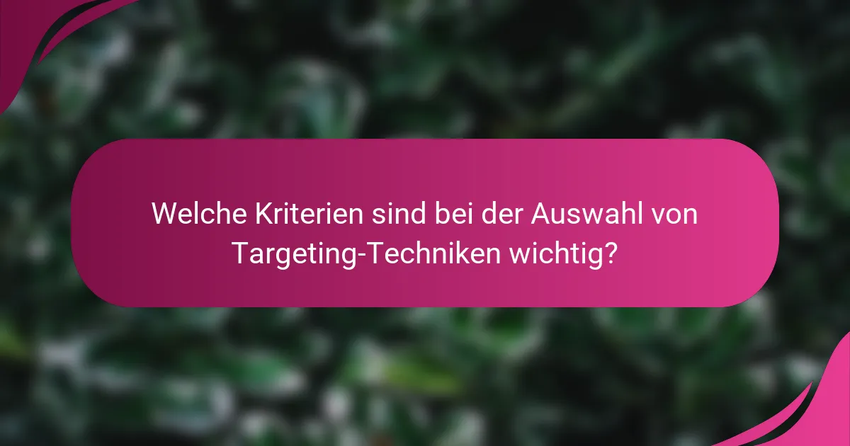 Welche Kriterien sind bei der Auswahl von Targeting-Techniken wichtig?