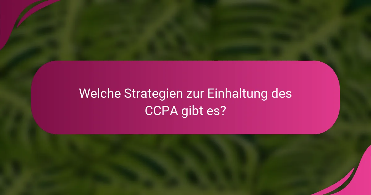 Welche Strategien zur Einhaltung des CCPA gibt es?