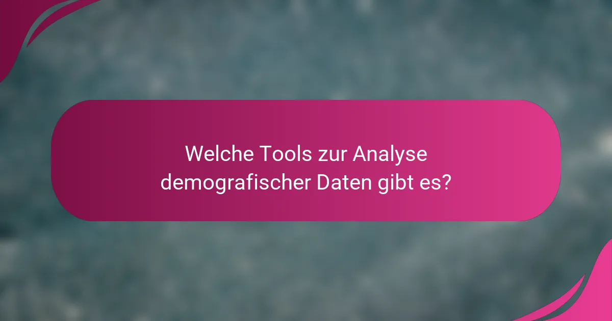 Welche Tools zur Analyse demografischer Daten gibt es?