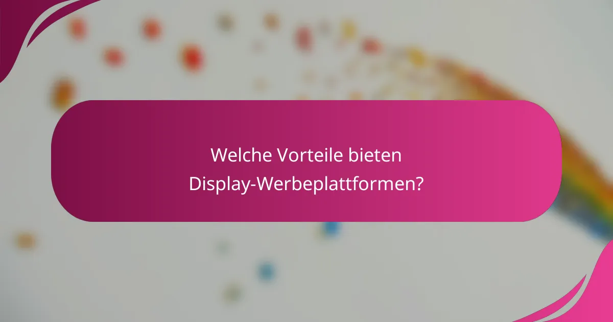 Welche Vorteile bieten Display-Werbeplattformen?