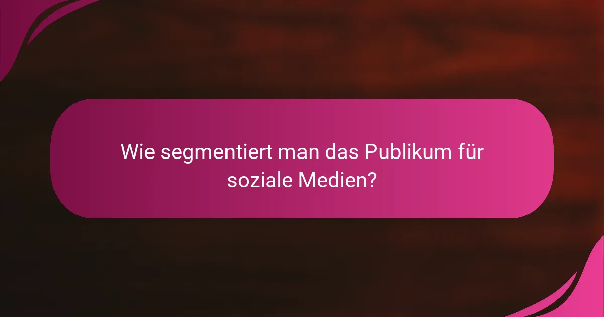 Wie segmentiert man das Publikum für soziale Medien?