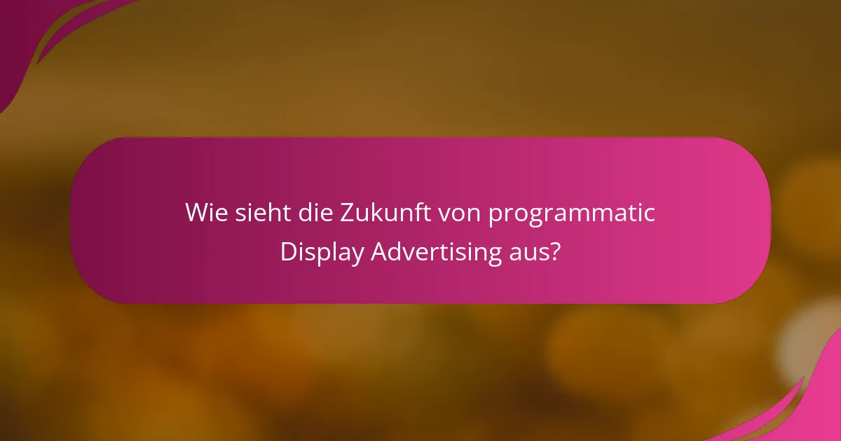 Wie sieht die Zukunft von programmatic Display Advertising aus?