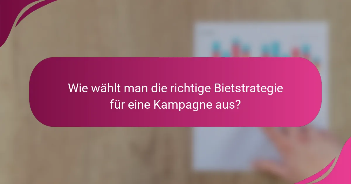 Wie wählt man die richtige Bietstrategie für eine Kampagne aus?