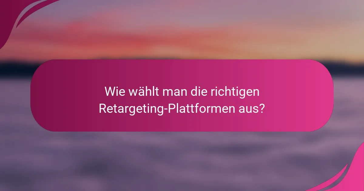 Wie wählt man die richtigen Retargeting-Plattformen aus?